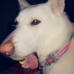 Meet your Posher, Kaylee